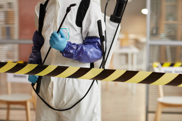 Professional Sewage Cleanup technician working in Ridgewood, IL